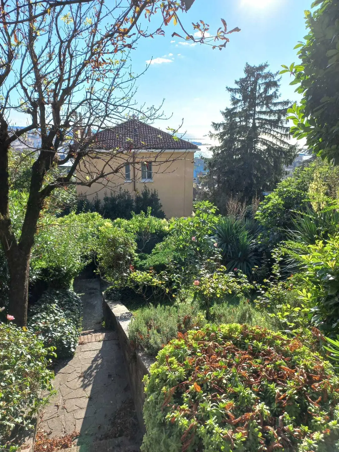 Charmantes Einfamilienhaus mit Meerblick, Terrasse und Garten | Ihr Rückzugsort in Triest