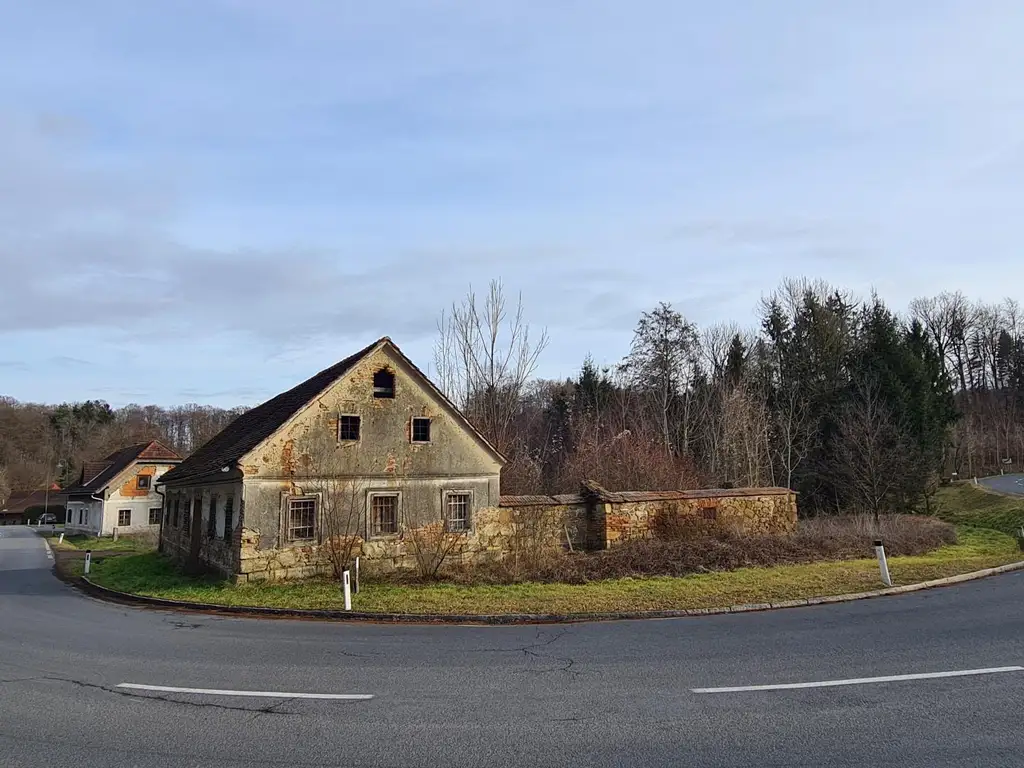 Grundstück mit Altbestand in der Südoststeiermark