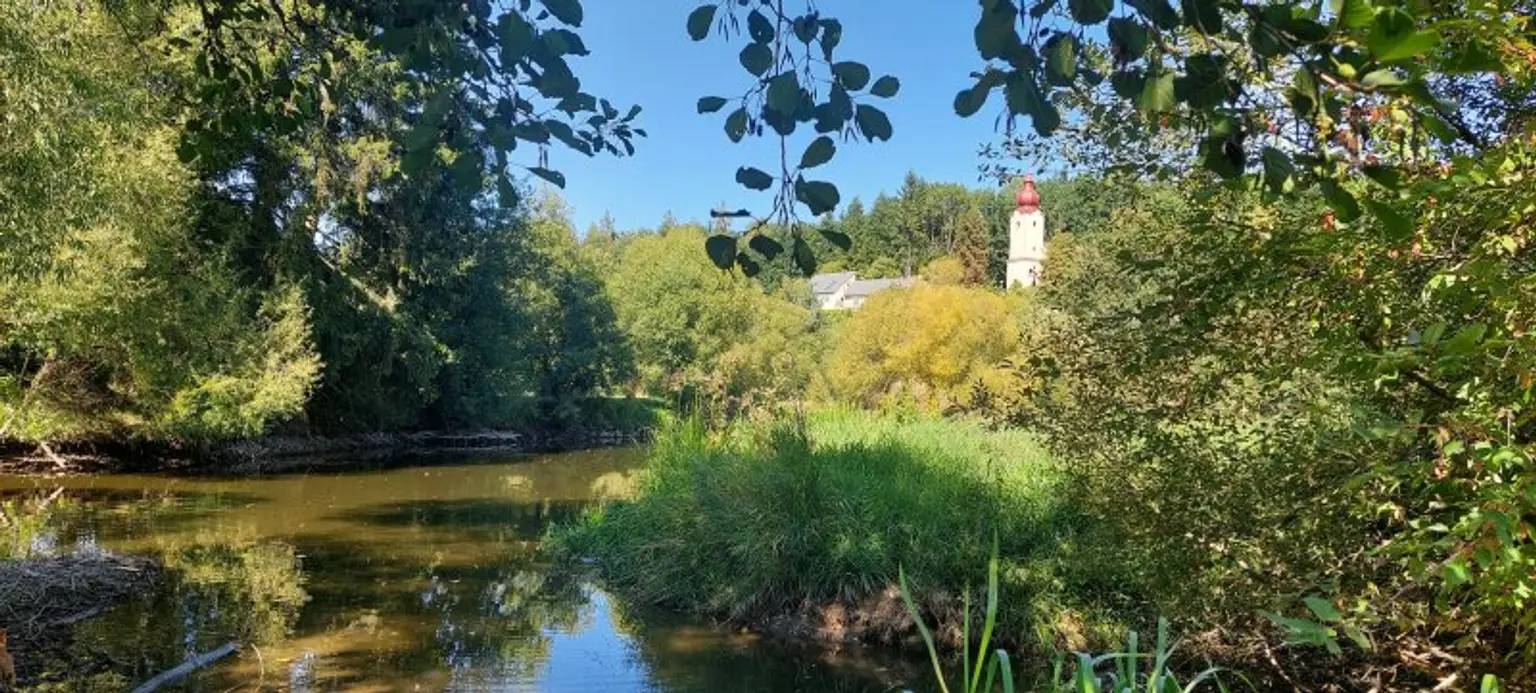HISTORISCHER CHARME: BURGIDYLL - MODERNES DACH MIT ALTEN MAUERN IN MALERISCHER LANDSCHAFT
