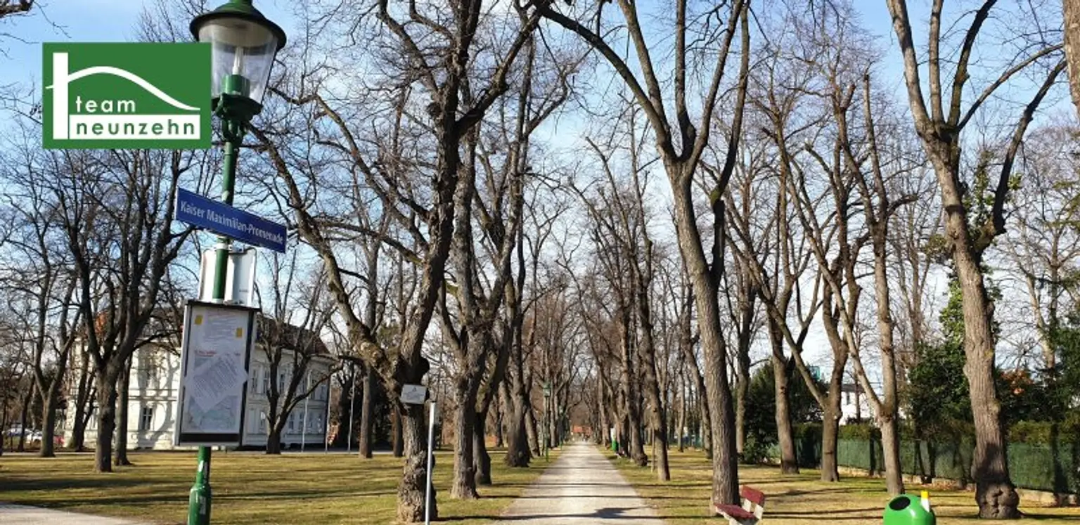 Wiener Neustadt – wo urbanes Leben und Natur harmonisch verschmelzen