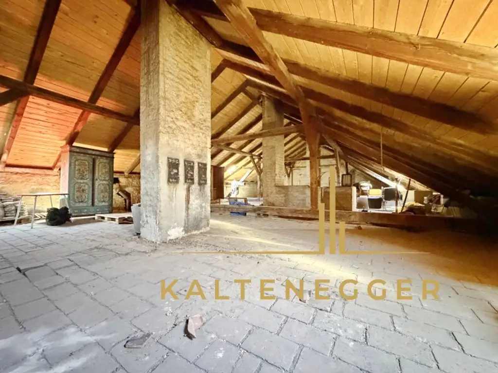 Zinshaus mit signifikantem Entwicklungspotenzial und bestandsfreien Flächen