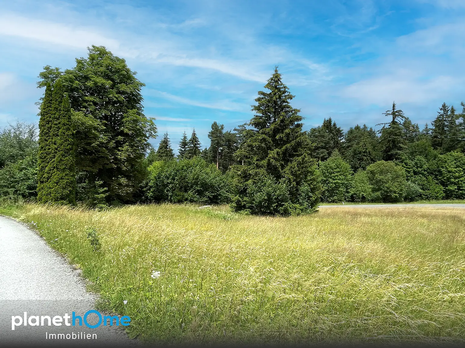 Grundstueck - Wald