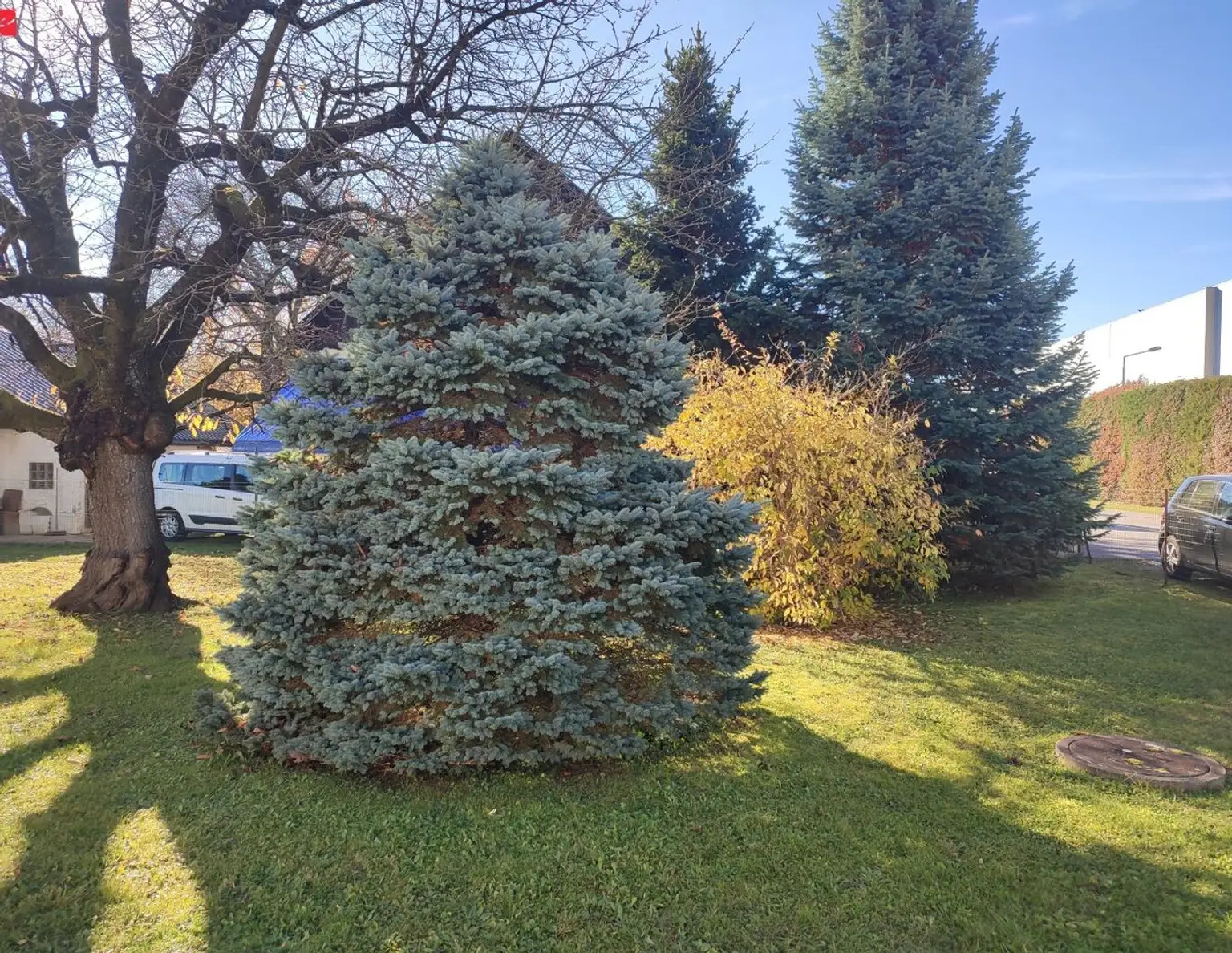 Ebener Baugrund in sonniger Lage in St. Peter!