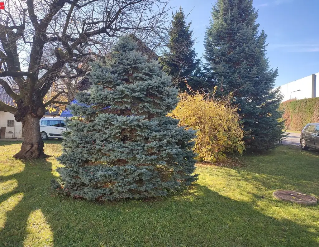 Ebener Baugrund in sonniger Lage in St. Peter!