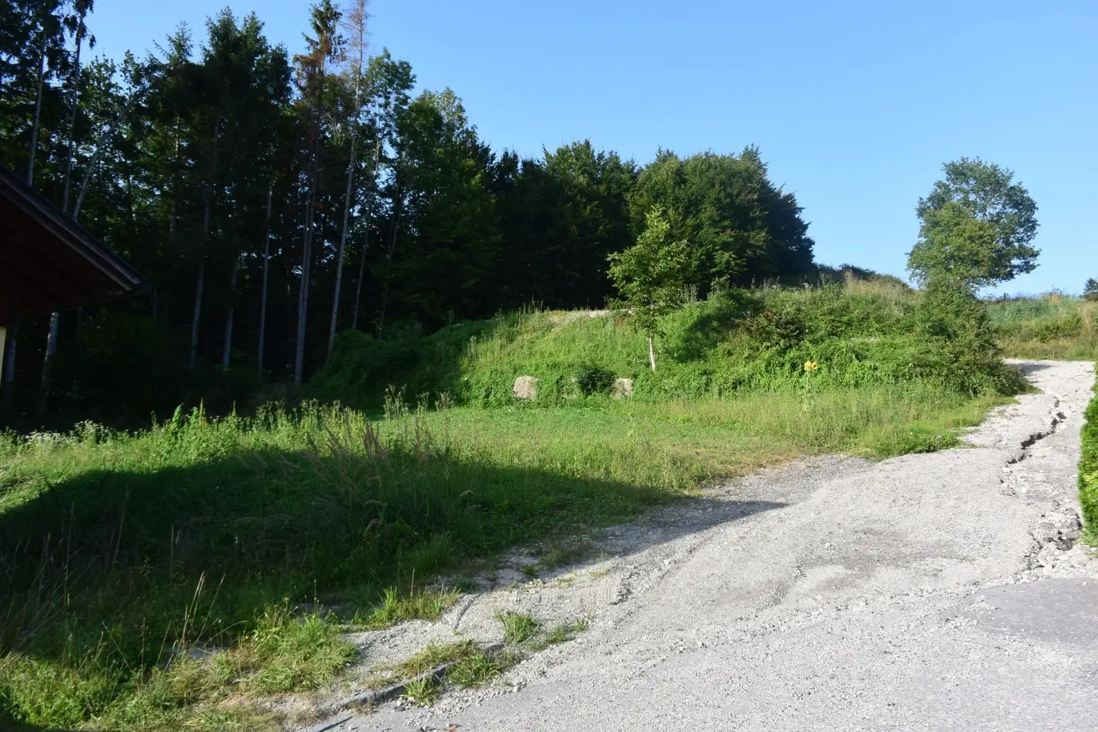 Großes Baugrundstück in Zell