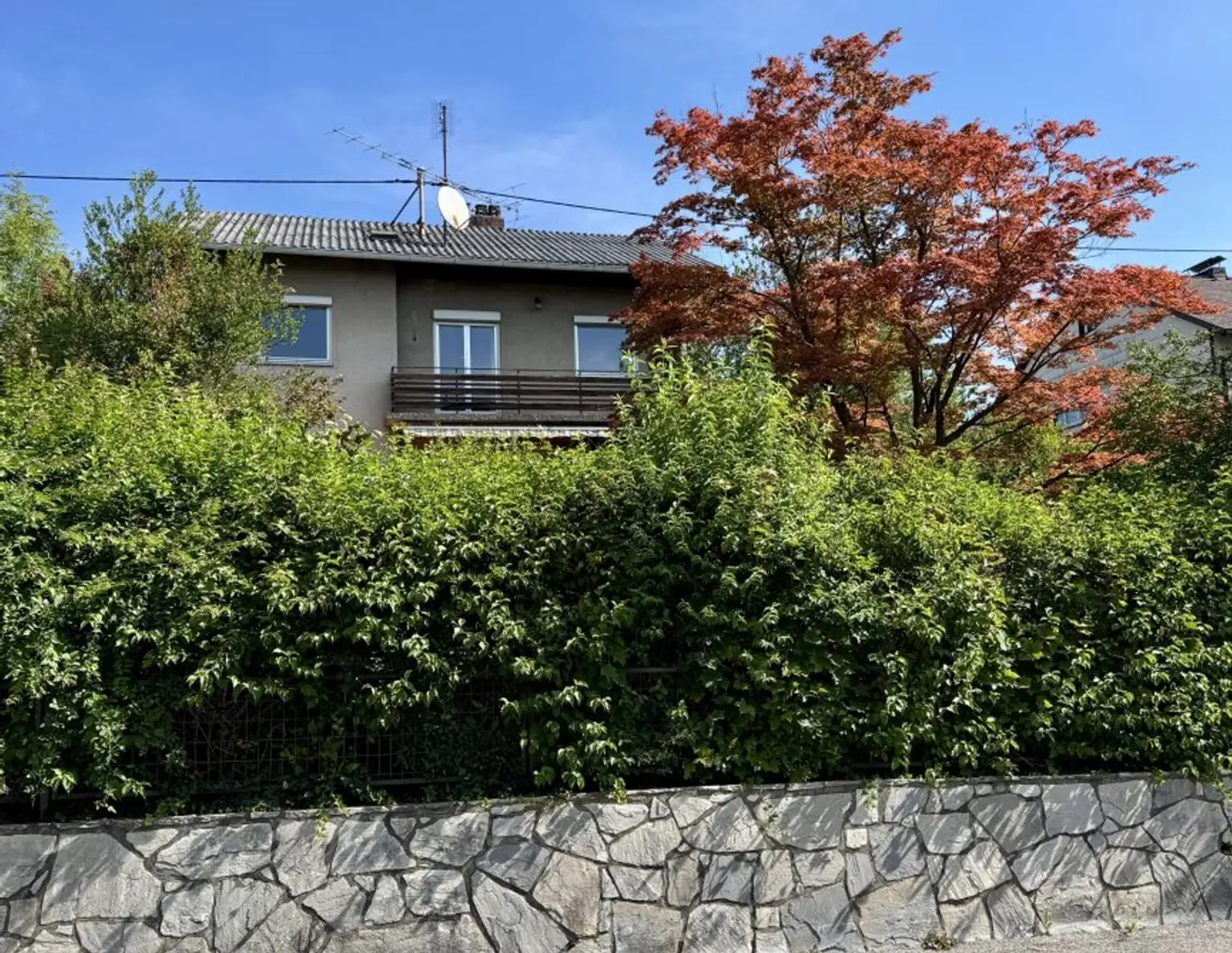 Sonniges Grundstück mit Altbestand in ruhiger Siedlungslage I Leonding