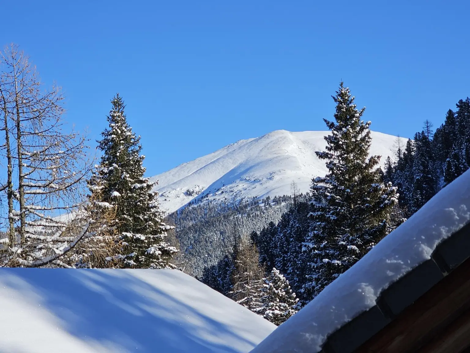 Rendite trifft Lifestyle - CHALET LITTLE BADGER -  eins mit der Natur, Luxus inklusive