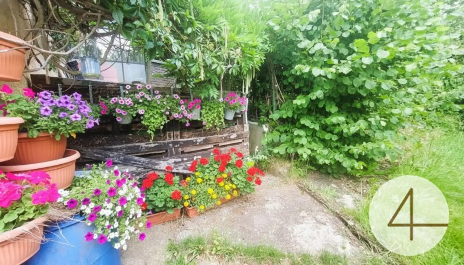 Natur rund ums Haus!