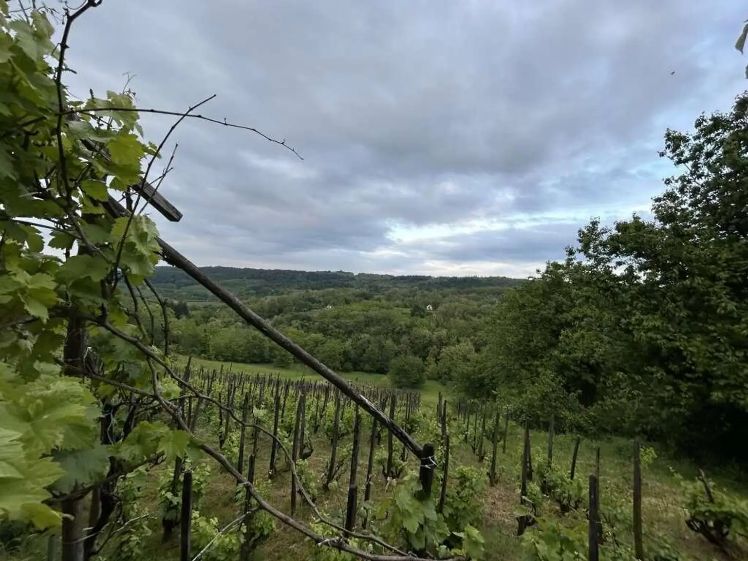 weitere Aussicht