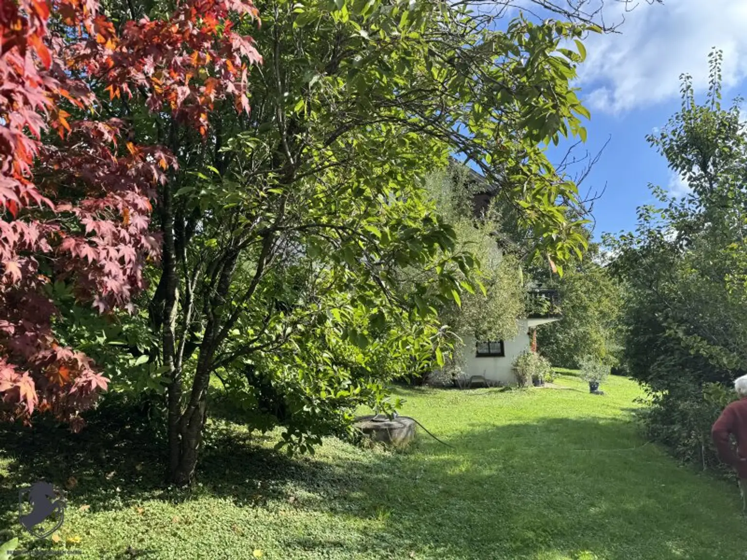 Einfamilienhaus mit großem Keller und traumhaftem Wald-Blick
