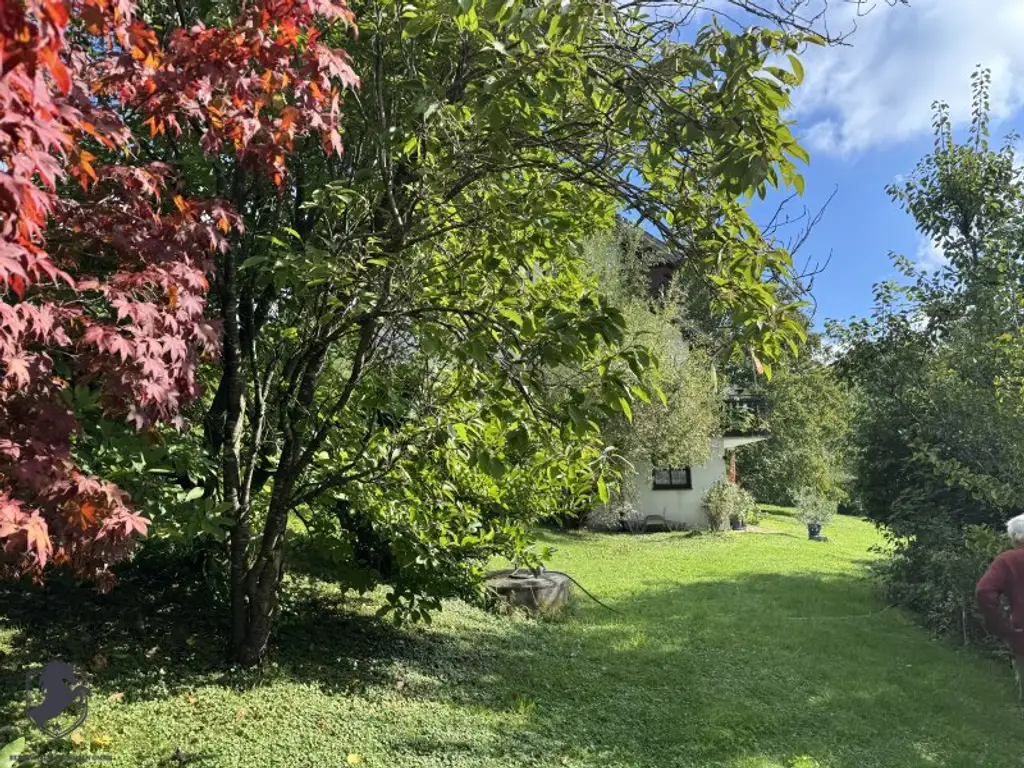 Einfamilienhaus mit großem Keller und traumhaftem Wald-Blick