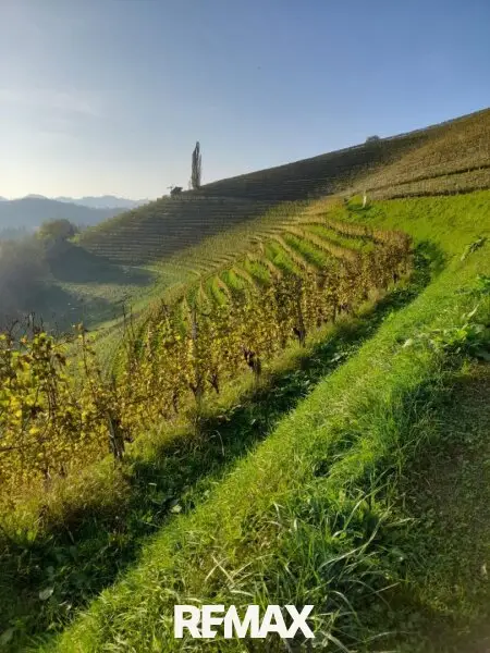 SilberbergWeinberg