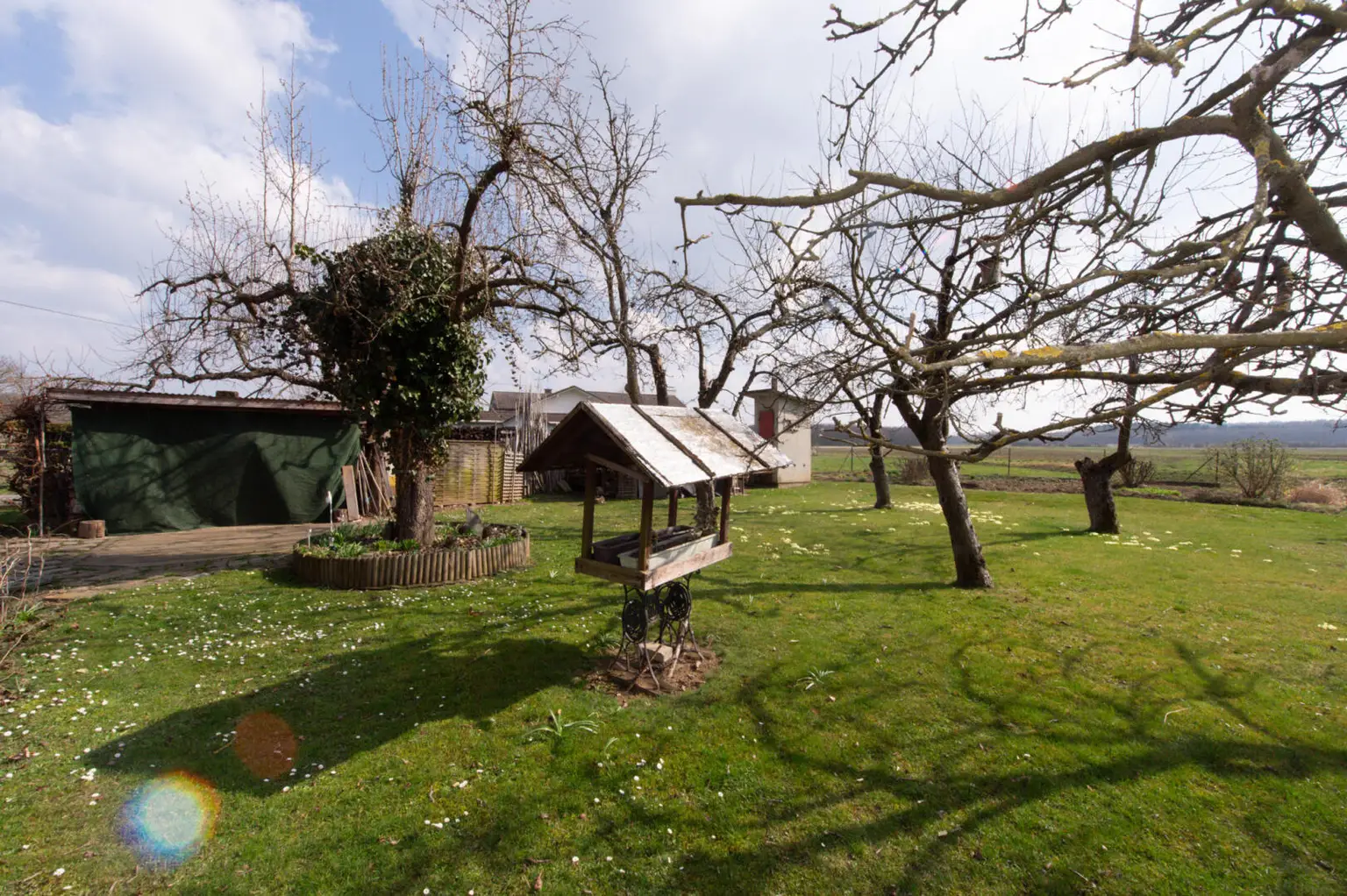 Wörth an der Lafnitz-63