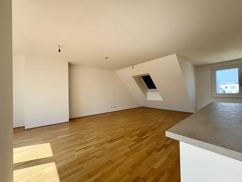 Lichtdurchflutete Dachwohnung mit offenem Wohn-Essbereich