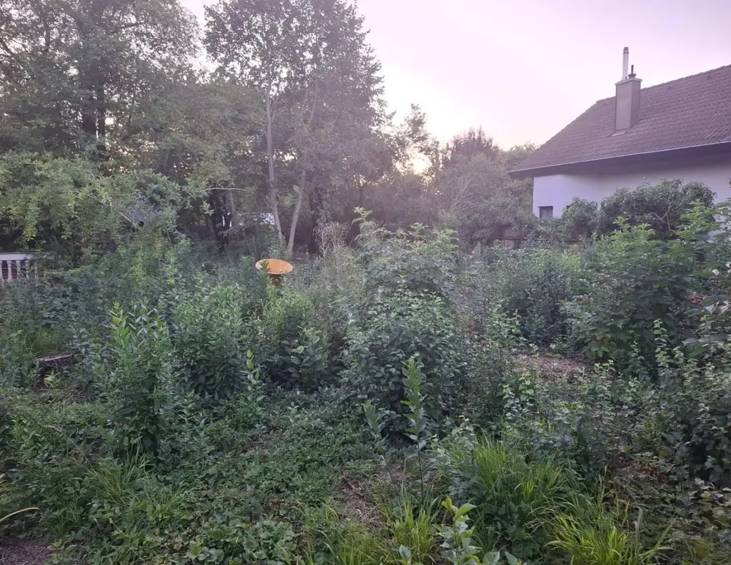 Grundstück in traumhafter Einfamilienhauslage!