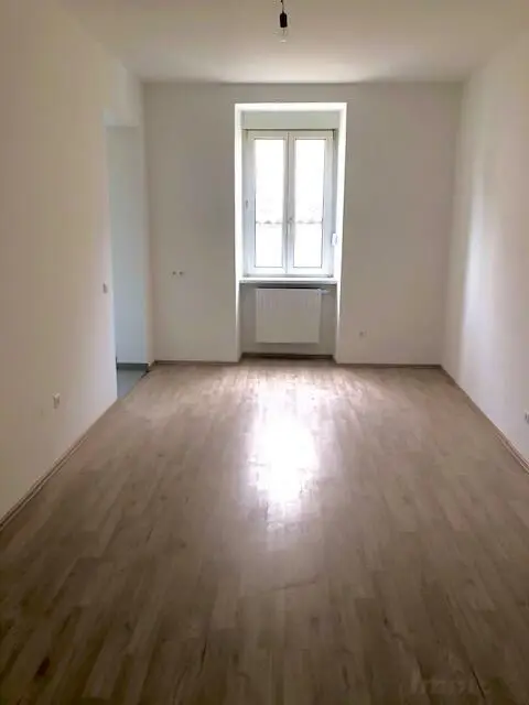 Wohn-/Essbereich mit offener Küche