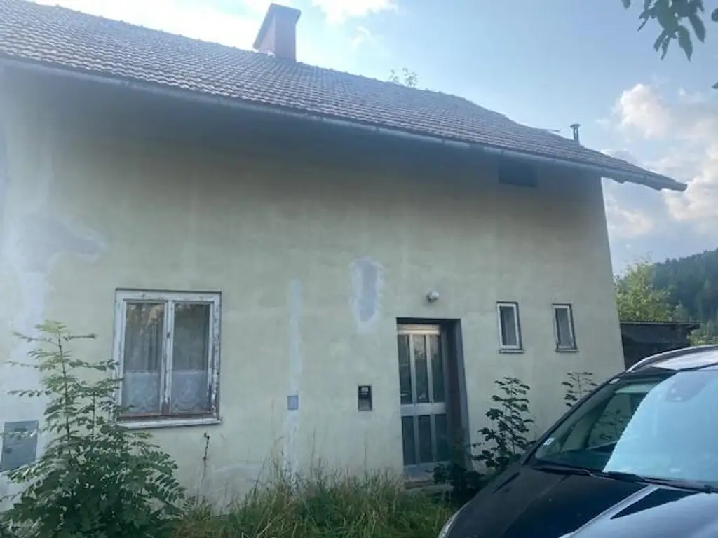 Handwerkerkönig gesucht! Abbruchobjekt, Bauland, Wiese und Wald!