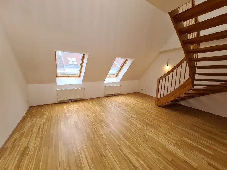 Wohn-Schlafzimmer