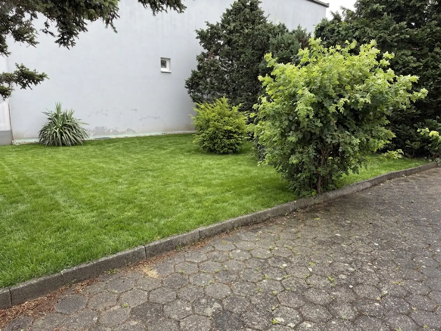 Garten(Wiese mit KI bearbeitet)