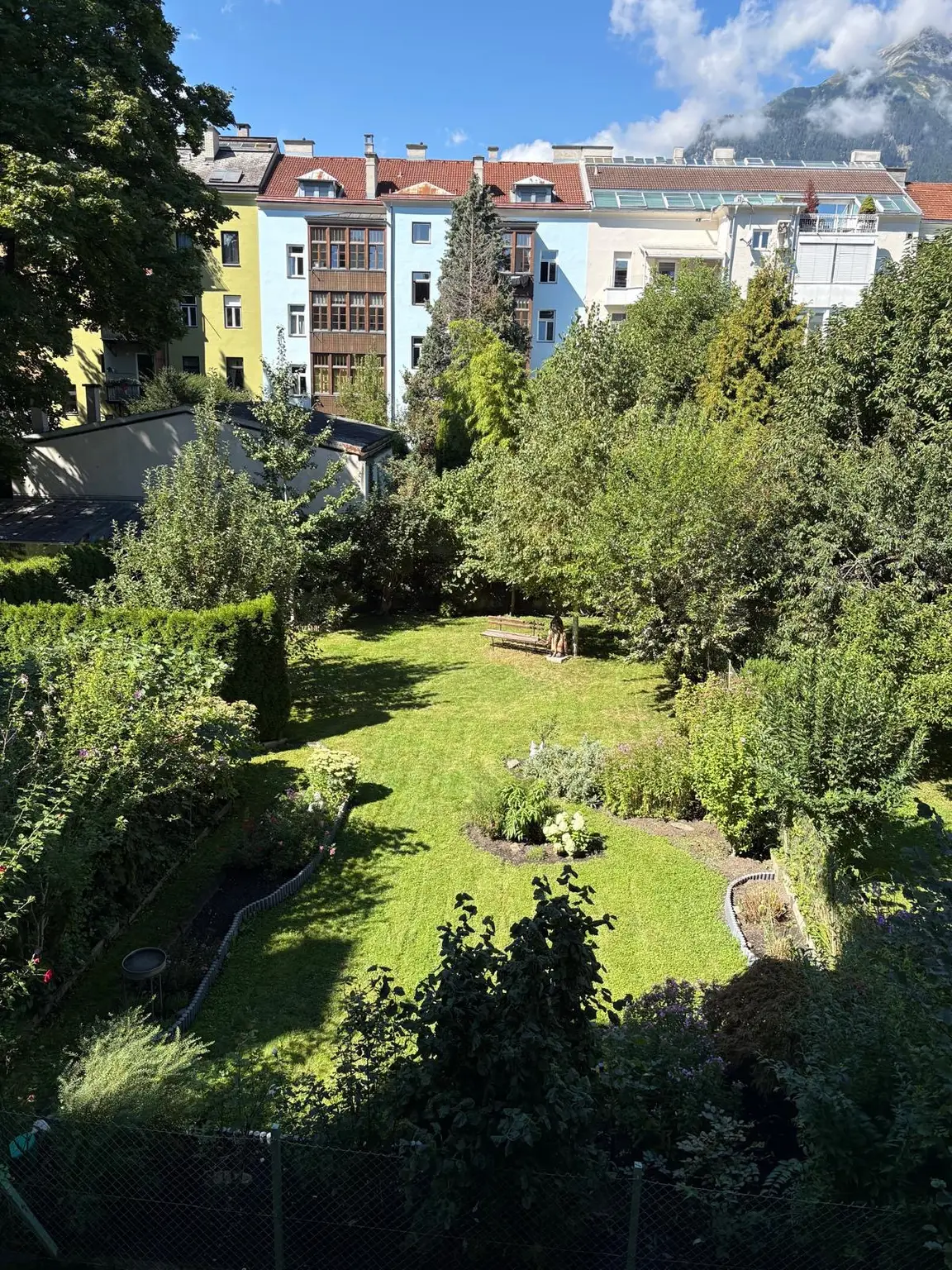 Bild Garten.jpeg