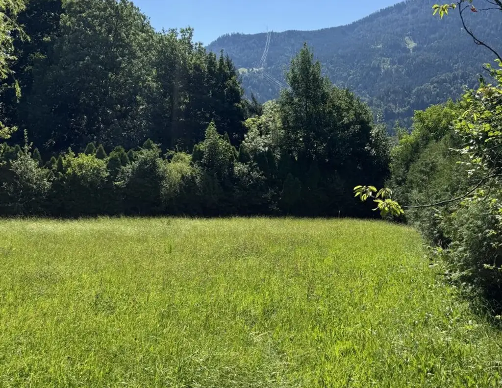 Ideales Baugrundstück in sonniger Lage in Jenbach zu verkaufen