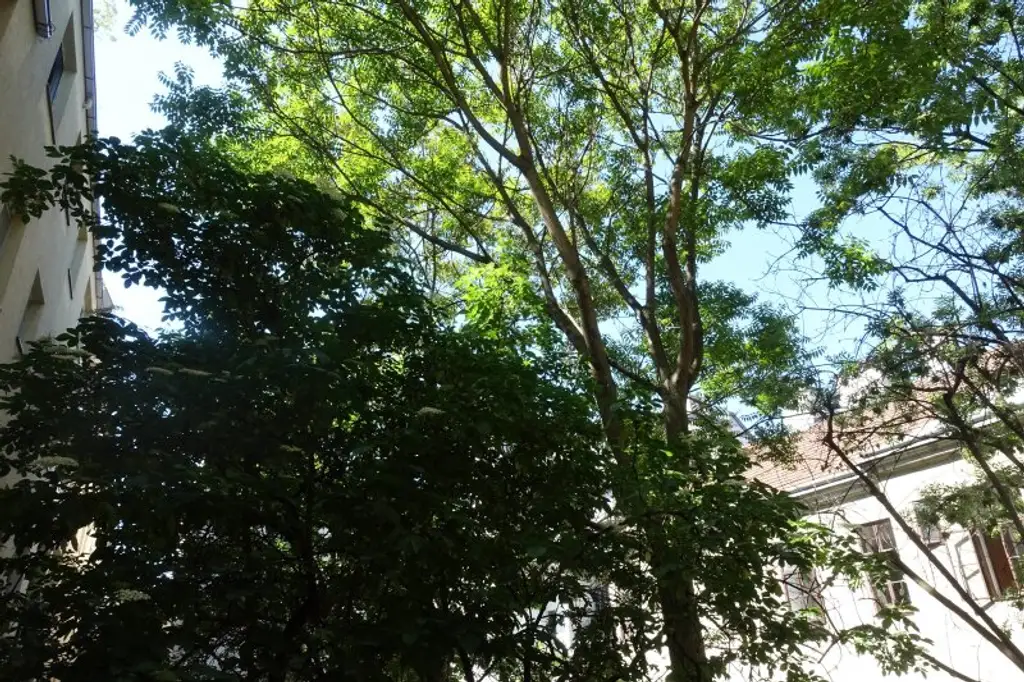 Bei Schönbrunn-U4: Gemütliche 2 Zi in ruhiger Lage!