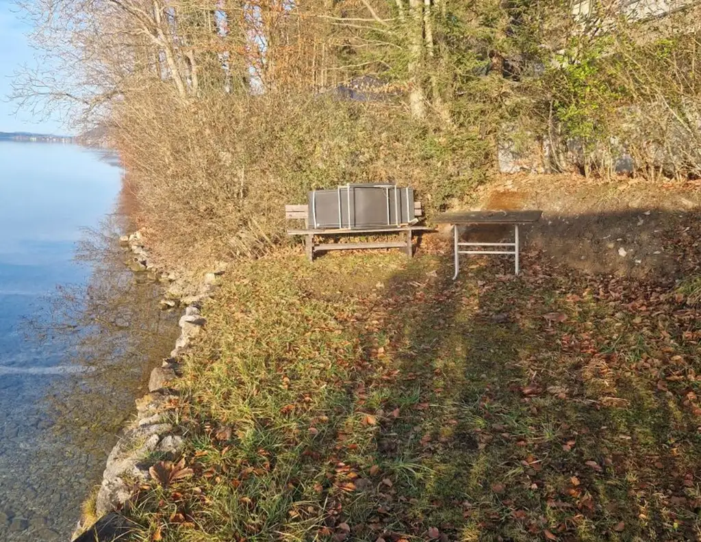 Privater Badeplatz am Attersee - Sonnenuntergänge im Alleineigentum genießen
