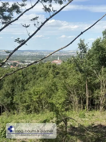 Grünland  mit Zufahrt und  Aussicht