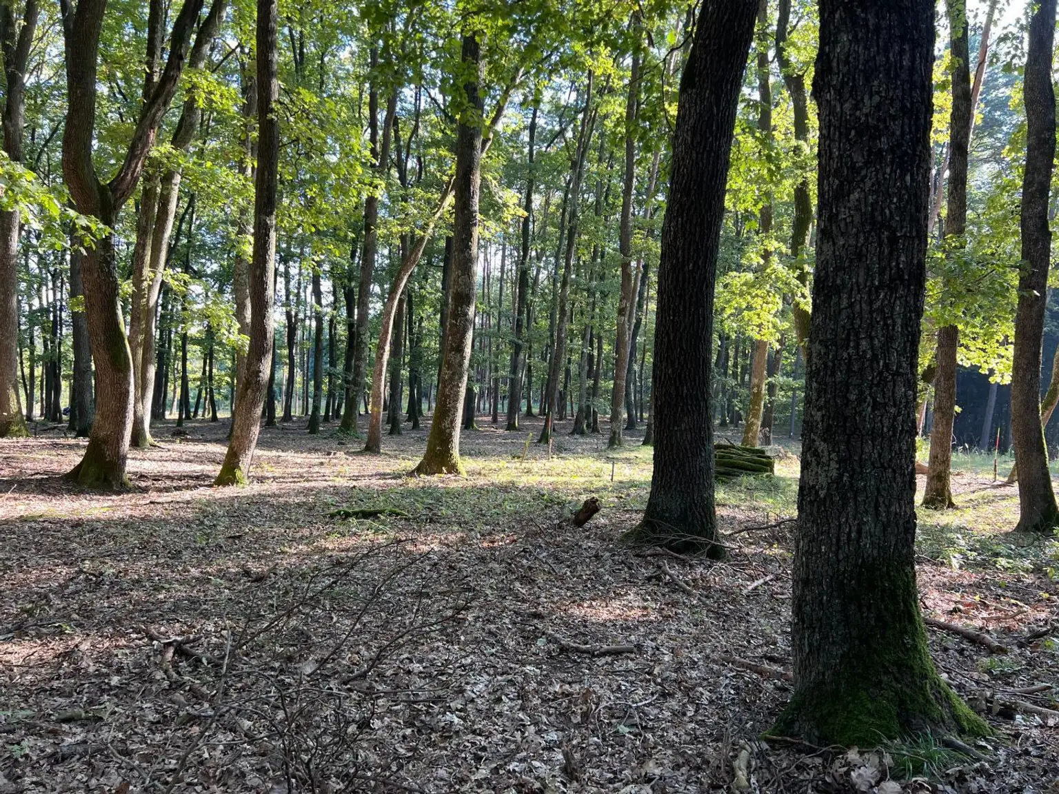 Natur spüren