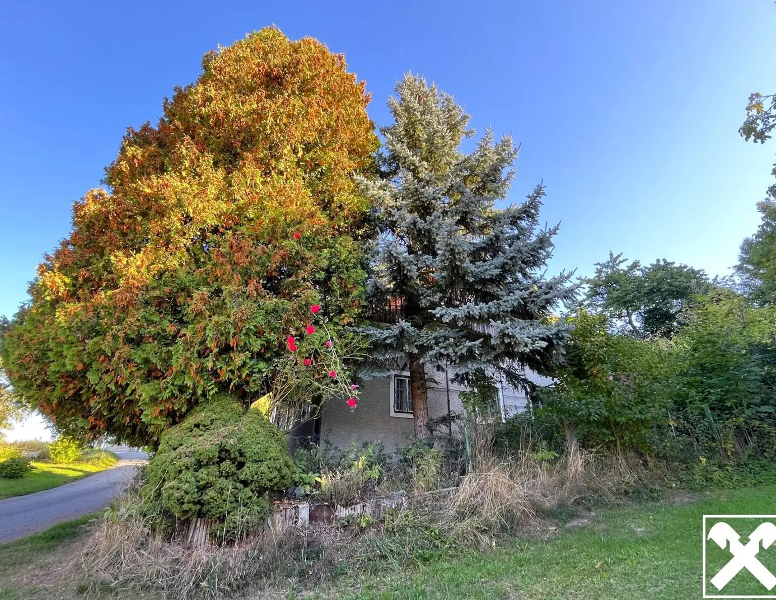 Natur pur! Grundstück mit Abrissobjekt!