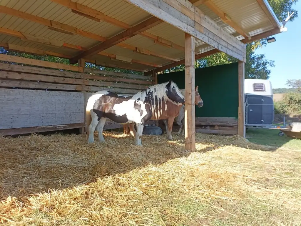 Exklusiver Reiterhof & Historisches Herrenhaus