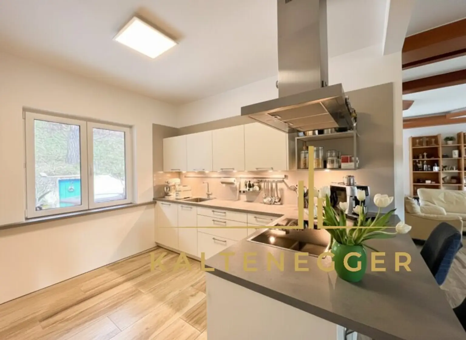 Klosterneuburg: Großzügiges Anwesen mit 2 Wohneinheiten, Indoorpool und 3.606 m² Grundstück