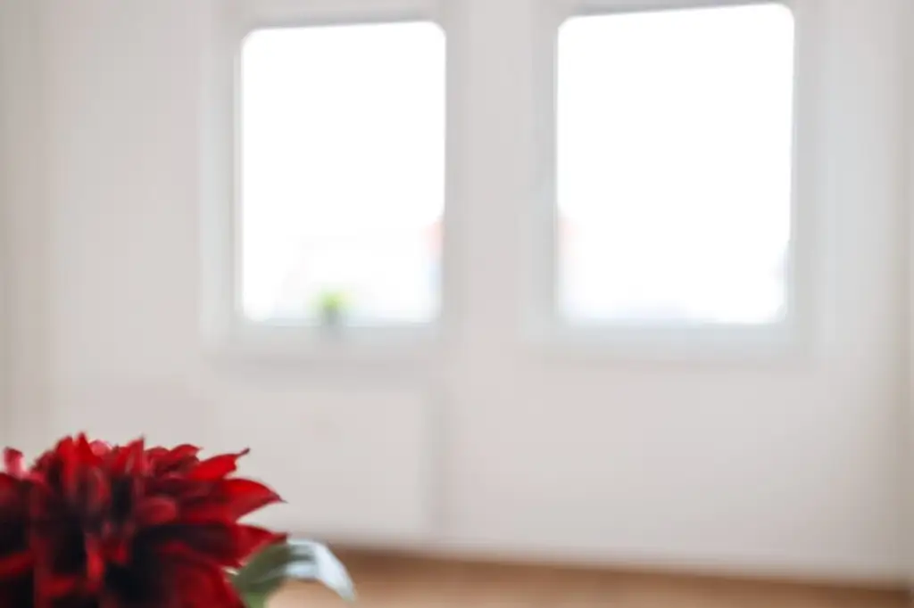 !! WOW !! I TOP-GRUNDRISS I BALKON I BADEWANNE I MODERN SANIERT I OFFENE KÜCHE I 4. STOCK MIT LIFT I HAUSTIERE WILLKOMMEN I PROJEKT WOHNEN I