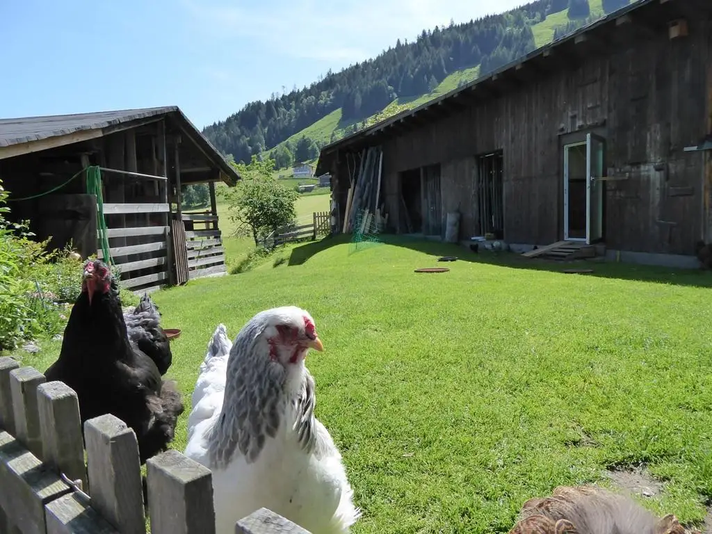 Gelegenheit! Bauernhaus in idyllischer Lage in Bruck an der Großglocknerstraße