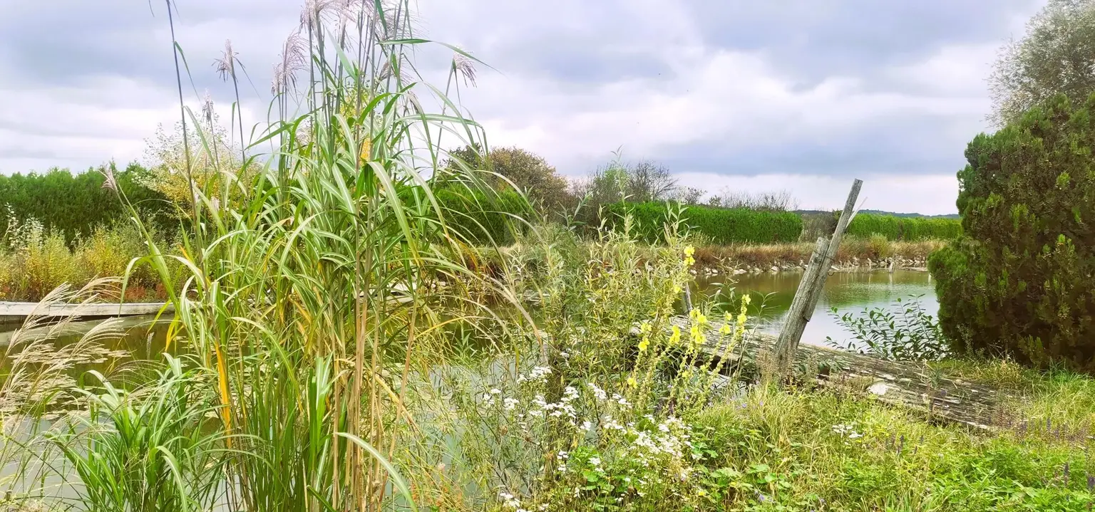 ENTSPANNUNG PUR - FISCHTEICH MIT HÜTTE UND STREUOBSTWIESE