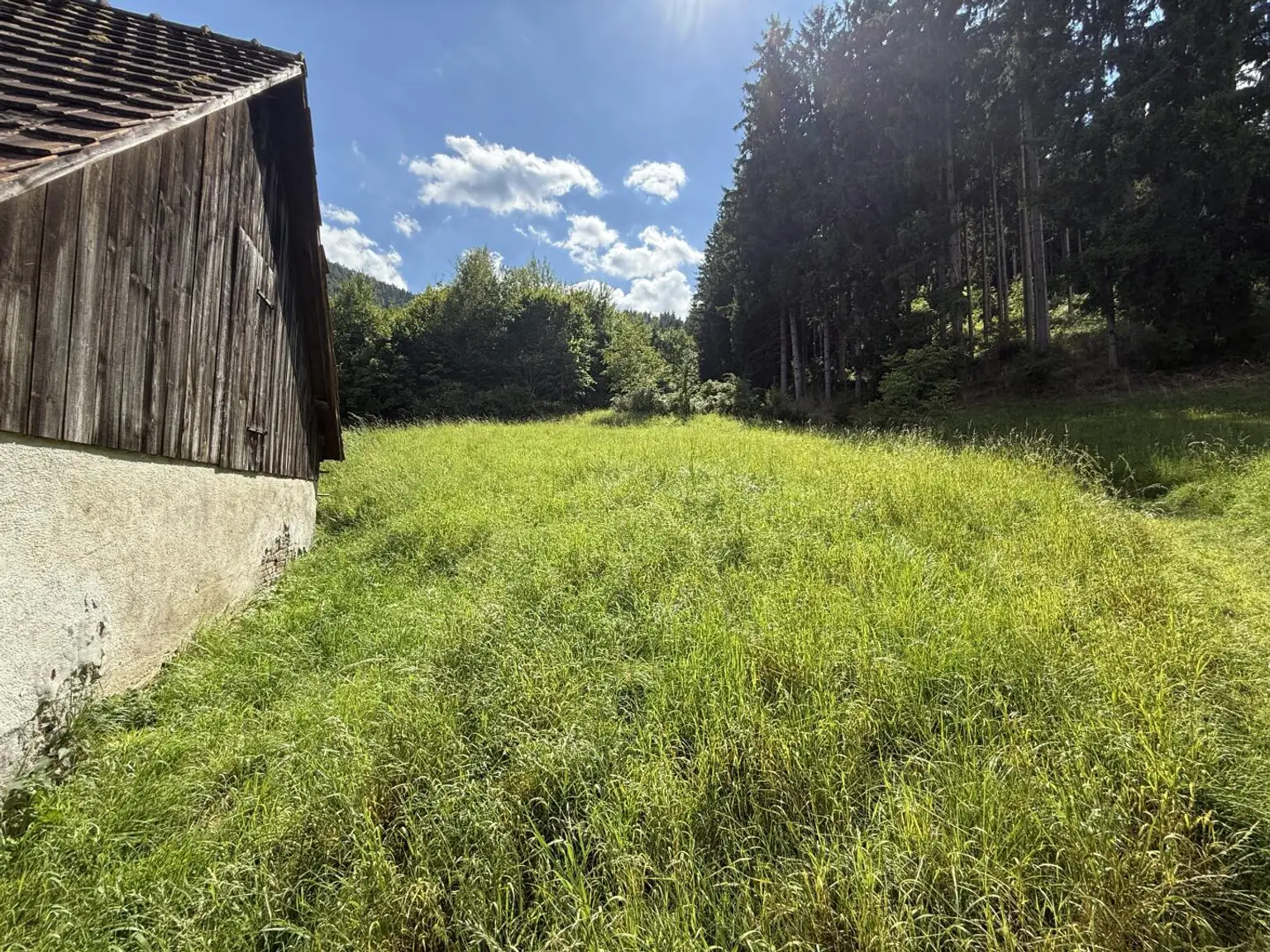 Übelbach, Wohnhaus zum sanieren mit großem Grundstück in Grünlage