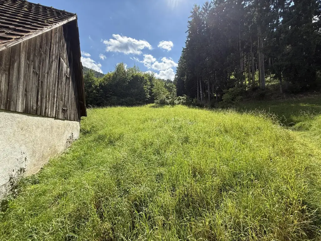 Übelbach, Wohnhaus zum sanieren mit großem Grundstück in Grünlage