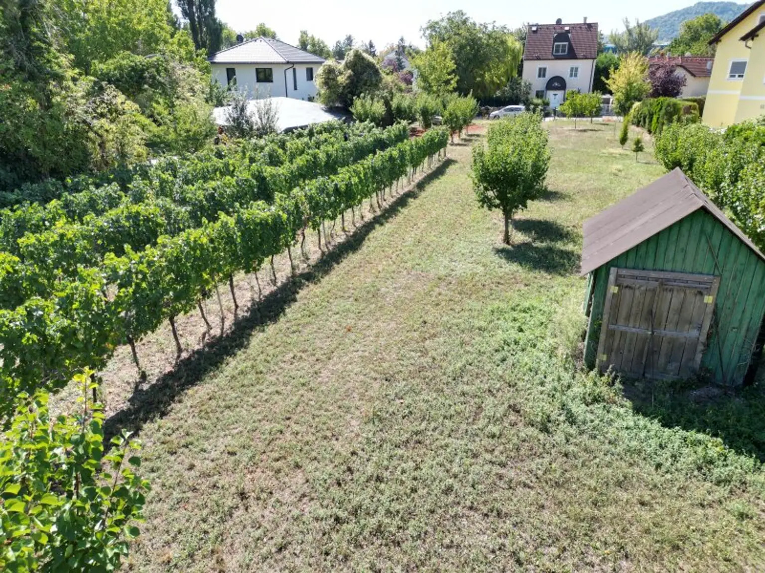 Ansicht