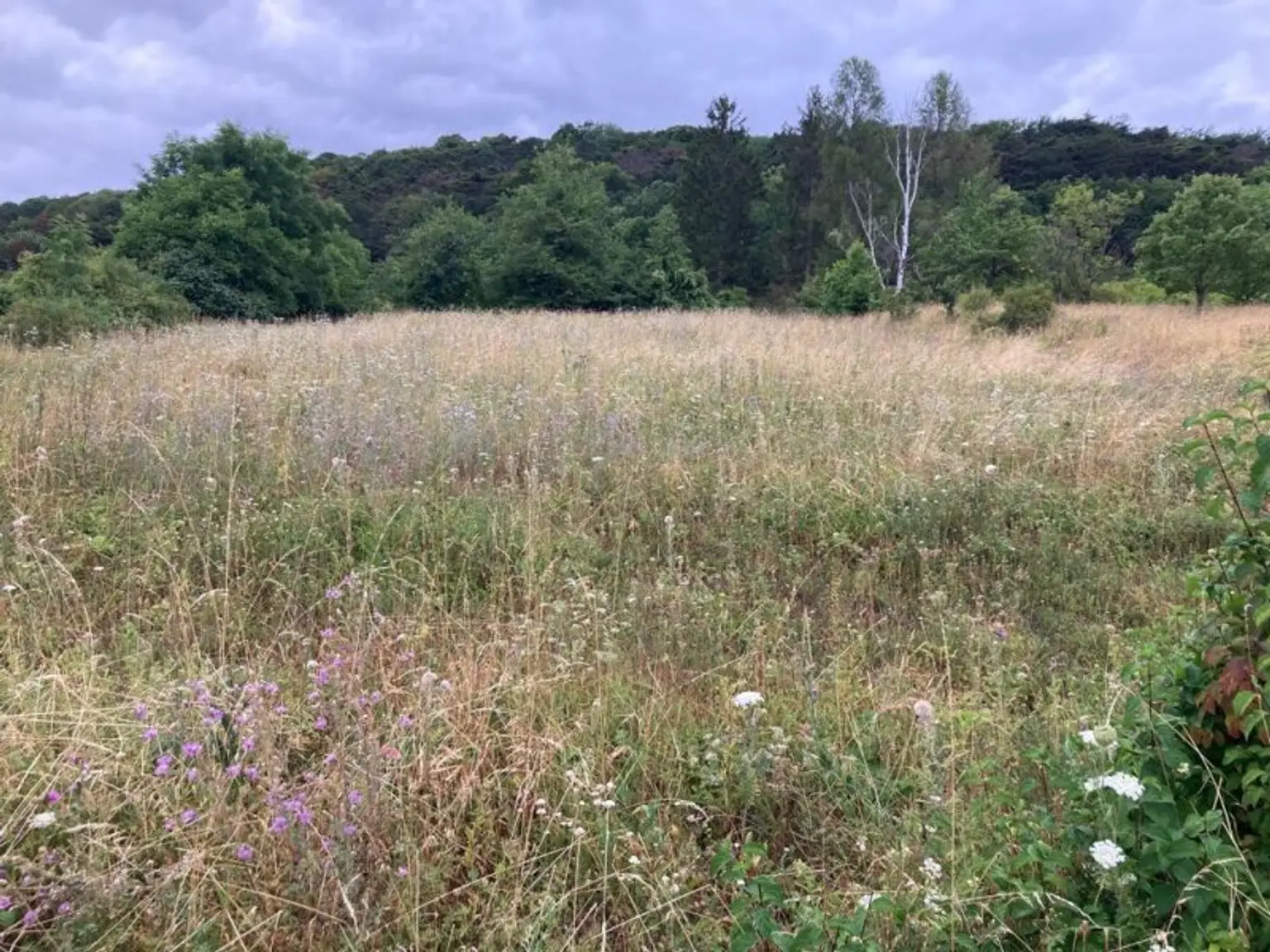 Naturidylle am Anninger - Kleingartenhaus mit großem Garten !