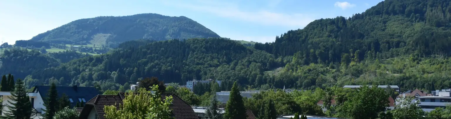 Großes Baugrundstück in Zell