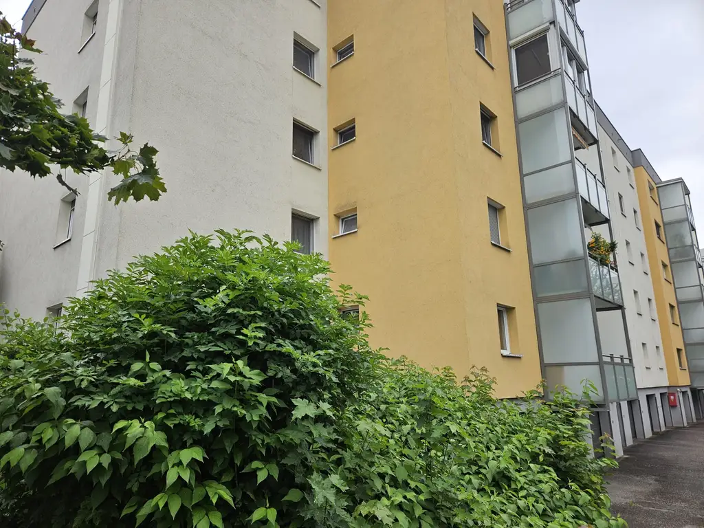 4 Zimmer Wohnung mit Loggia und TG Stellplatz am Froschberg