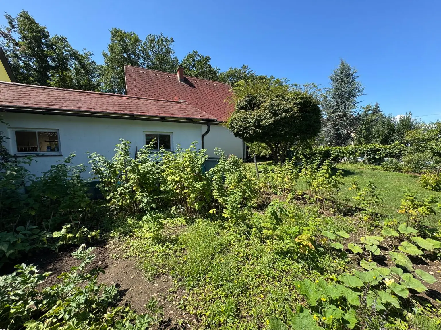 Familientraum mit Blick in den Schachterlwald – Welzenegg