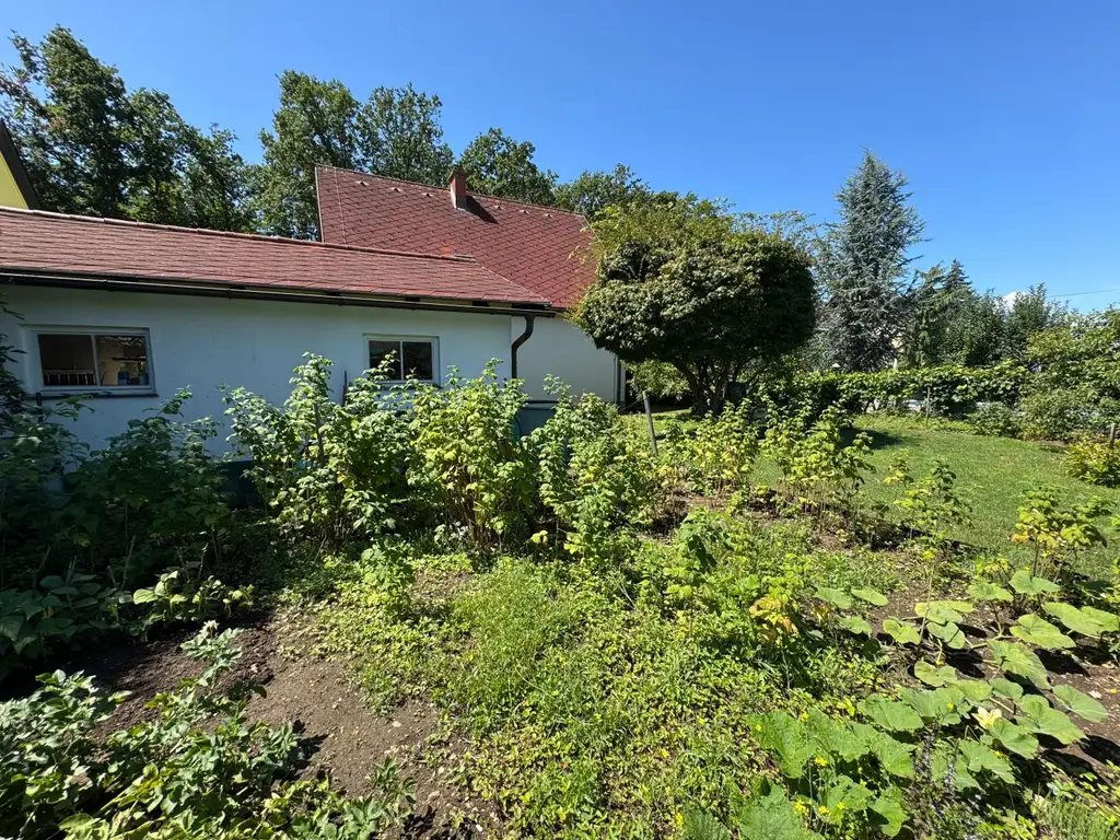 Familientraum mit Blick in den Schachterlwald – Welzenegg