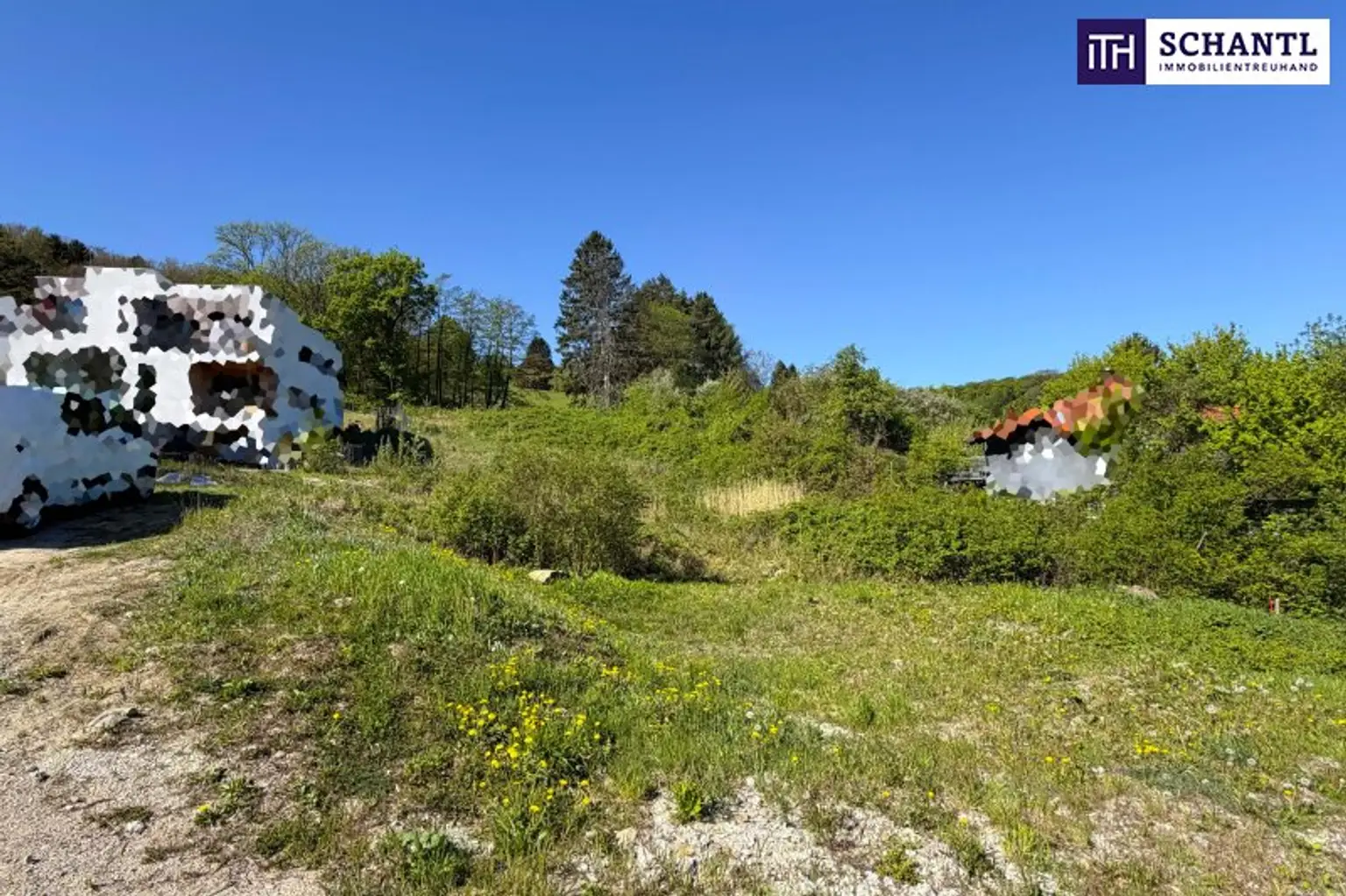 Sonnige Liegenschaft mit Entwicklungspotenzial