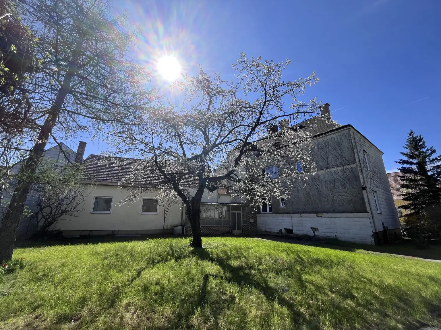 12 Zimmer Haus  mit Geschäftslokal auf 948 m2 Grundstück