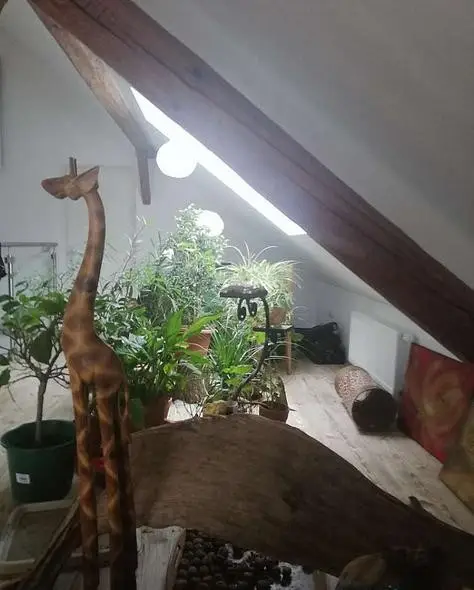 Charmantes, generalsaniertes Einfamilienhaus mit Geschichte – nicht weit von Linz entfernt! EIN HAUS MIT FLAIR
