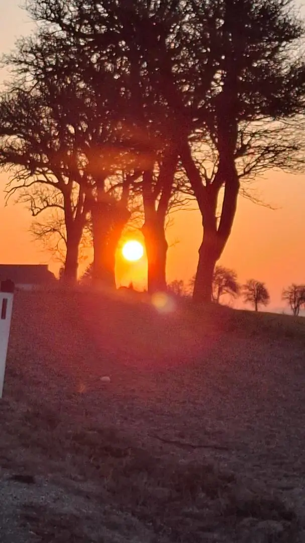 Sonnenaufgang 19.03.2026