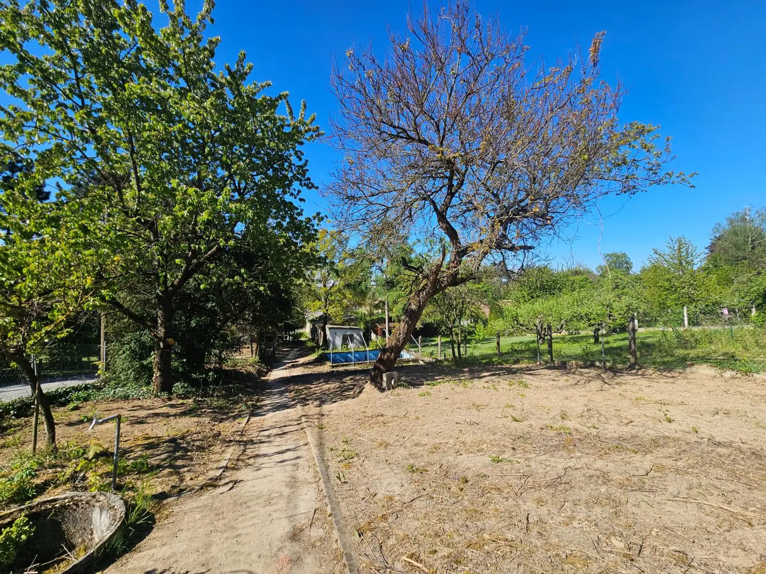 Garten (2)