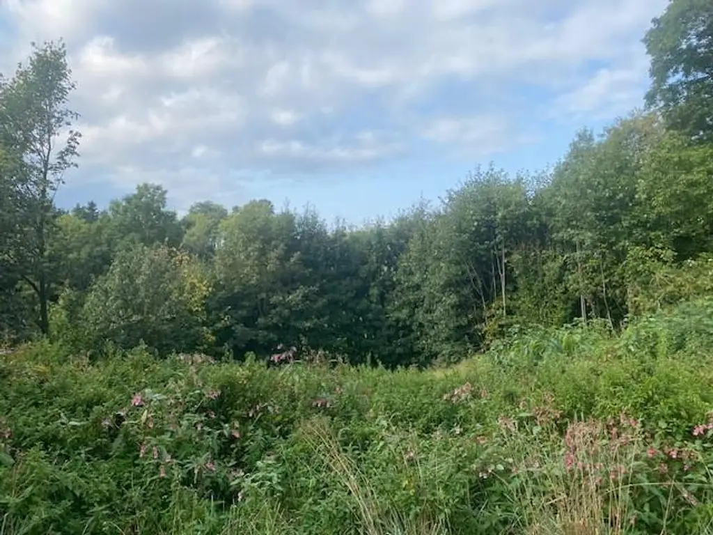Handwerkerkönig gesucht! Abbruchobjekt, Bauland, Wiese und Wald!