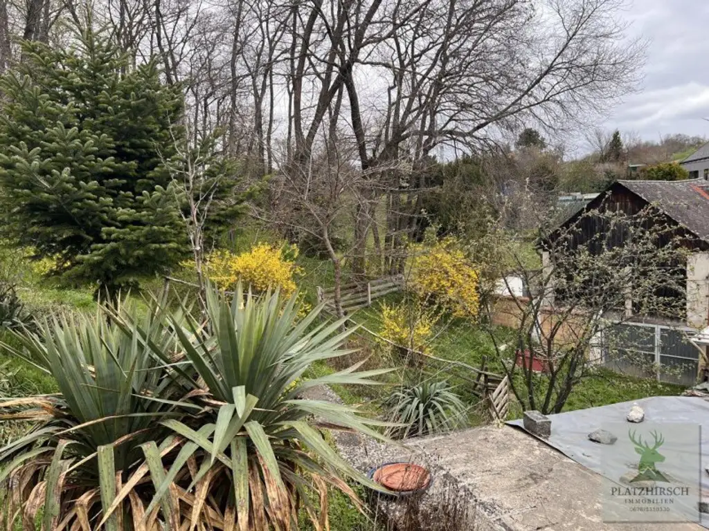 Einzigartiges Liebhaberobjekt mit toskanischem Flair, riesigem Garten, herrlichem Wintergarten, in Prottes - 35 Min von Wien - 8 Minuten von Gänserndorf